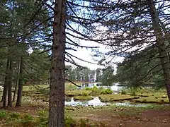 Lac de Creno traversé par le ruisseau de Creno.