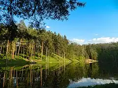 le parc de Trostianiets, classée,