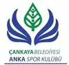 Logo du Çankaya Belediye SK