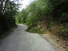 Éboulement de terre de 3 à 5 mètres cubes, sur une route étroite au milieu de la forêt