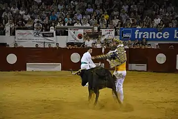 Écarteur dans les arènes de Morlanne