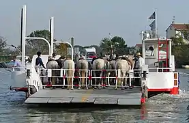 Traversée du Rhône sur le bac