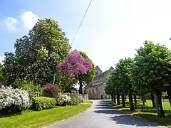 Vue de la place du château.