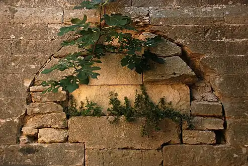 Baie murée dans le mur septentrional.