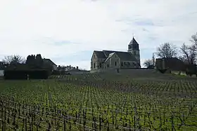 Vue de l'église sur des vignes.