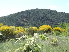 Oppidum de Pierredon à Éguilles