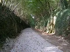 Portion du sentier émeraude