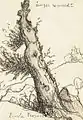 Émile Bernard, Bretonne près d'un arbre.