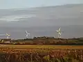 Le champ d'éoliennes.