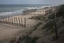 Photographie montrant des épis et casiers à sable, réserve du Platier d'Oye