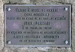 Plaque devant l'érable.