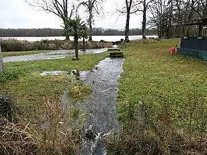 Le ruisseau de l'étang Pinaud entre l'étang et la RD 55.