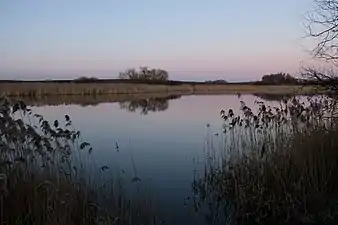 Étang vu depuis la route de Bures