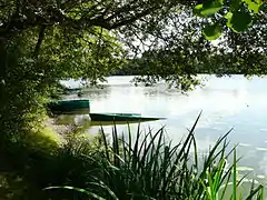 Berges de l'étang de la Forge à Forgeneuve.