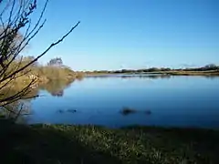 L'étang de pêche dans le marais communal.