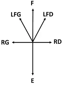 Étoile de Maigne