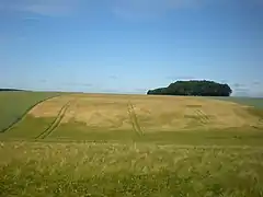 Le fond des Greffes, à l'ouest de la commune.