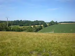 L'aval du fond des Greffes rencontrant les coteaux de la Brêche.