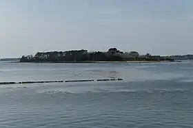 Île Drenec vue depuis la cale de Béluré.