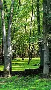 Parc de l'Île Saint-Bernard.