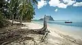 Île aux Bénitiers, vue depuis la plage, avec le Morne Branant en arrière-plan.