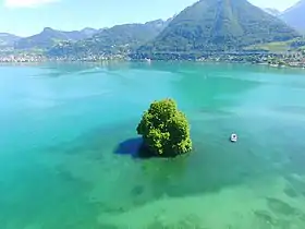 Vue de l'île de Peilz et du sud de la Riviera vaudoise.