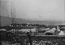 Photographie ancienne : un camp de tentes blanches