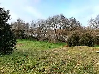 Vue partielle de l'île de la Fourche