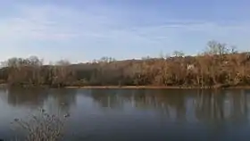 L'île des Buteaux depuis la rive gauche de la Loire.