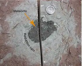 La météorite fossile Österplana 065.