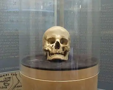 Le crâne de Stevan Sinđelić.