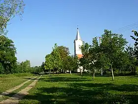 Češko Selo