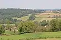 Đurđevac - panorama