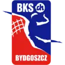 Logo du Chemik Bydgoszcz