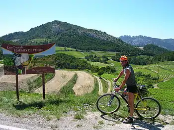 Œnotourisme dans les dentelles de Montmirail