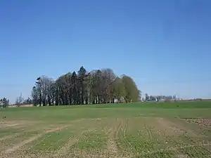 Le cimetière vu de loin