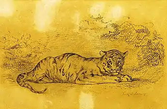 Tigre menteur, dessin au stylo et encre sur papier, 19 × 29 cm, Athènes, Collection du Parlement grec.