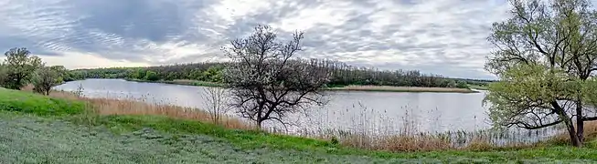 la réserve naturelle de Balka Velyka Osokorivra.