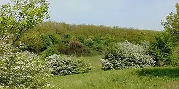 réserve naturelle de Malichevka, classé.