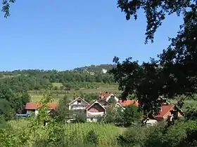 Belo Polje (Surdulica)