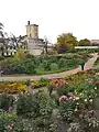 Vue d'une partie du jardin en septembre 2010 avec au fond la bibliothèque devant la collection des aulx