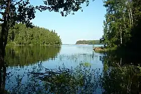 La nature sauvage des îles Valaam.