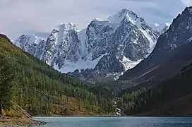 Forêt au lac de la Chavla.