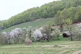 La zone de Khomynske, classé.