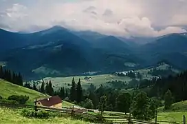 Paturages et forêt en montagne, dans les près quelques maisons éparses, une clôture.