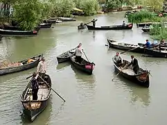 Lotcas aux heures de pointe à Vylkove en Ukraine.