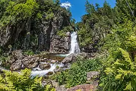 La taïga à la cascade Grokhotoun.