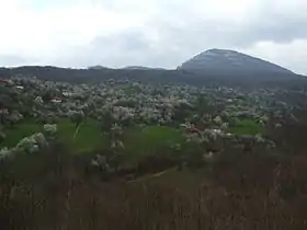 Drenovac (Vranje)