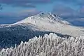 Откликной Гребень (ru) dans le parc national de Taganaï. Février 2020.