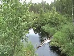 Source de la rivière Kollaanjoki (2008).
